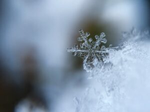 A focused photo of a snowflake